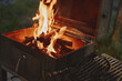© SHOTPRIME STUDIO - Cozy outdoor barbecue with flames, showcasing vibrant firewood in a grill, perfect for summer gatherings and culinary experiences