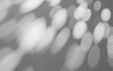 Wall Mural - abstract shadow overlay dappled light on a transparent background.