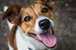 © asya_karton_art - Happy dog wagging tail with tongue out enjoying a sunny day outdoors in the park, radiating joy and playfulness with its friendly demeanor