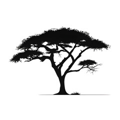 Wall Mural - african tree silhouette
