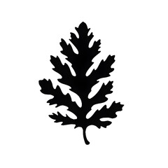 Wall Mural - oak leaves silhouette