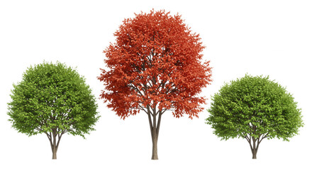Three trees with green and red foliage isolated on transparent background