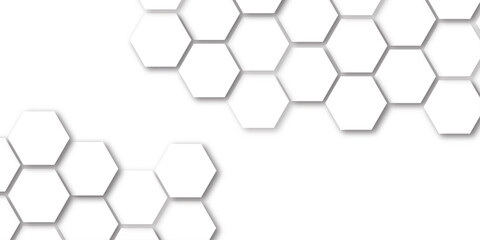 Wall Mural - hexagon concept design abstract technology background vector grey hexagon white background wall patt