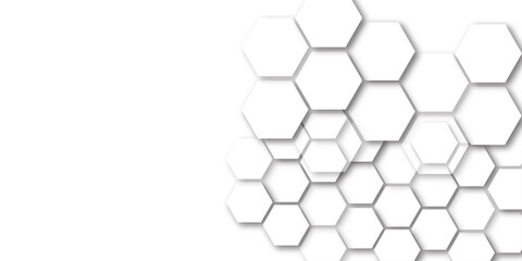 Wall Mural - hexagon concept design abstract technology background vector grey hexagon white background wall patt