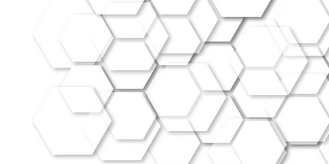 Wall Mural - hexagon concept design abstract technology background vector grey hexagon white background wall patt