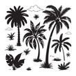 © Chinu Akter - palm trees silhouettes