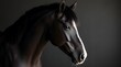 © Elina - Majestic black horse profile with striking features against dark background at dusk