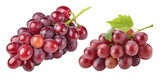 Set collection of two diffrent wine grapes ripes isolated on white or transparent background