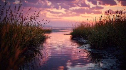 Wall Mural - pink sky with clouds in the distance grass in the foreground
