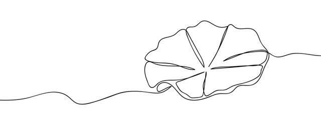 Wall Mural - Continuous vector art lines, lotus leaf, transparent background. editable stroke.