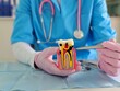 © Nadzeya - Dentist demonstrating root canal procedure on a model tooth