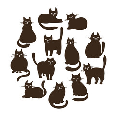  set of funny cats