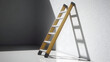 © L.H - A yellow stepladder leans against a white wall, casting a shadow.  Sunlight highlights the ladder and wall