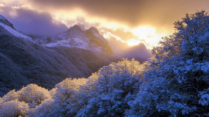 Wall Mural - A snowy mountain landscape with trees and clouds