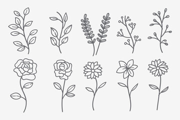 Wall Mural - vector set of doodle flower and leaf elements.autumn and spring collection