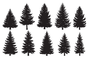 Poster - silhouette pines trees collections.vector illustration
