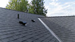 © Mat Hayward - Brand new roof on a house in a residential neighborhood. The black shingles have been installed as a replacement on the older home for improvement.
