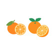 © Topik_Art - Fresh Oranges and Orange Slices Vector Illustration