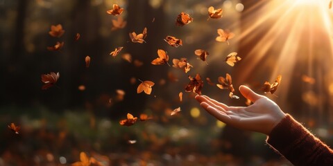 Wall Mural - hands autumn leaves leaf.