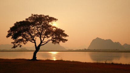 Wall Mural - A lone tree stands silhouetted against a stunning sunset by a calm river, with distant mountains framing the peaceful scene. The warm glow reflects on the water's surface.