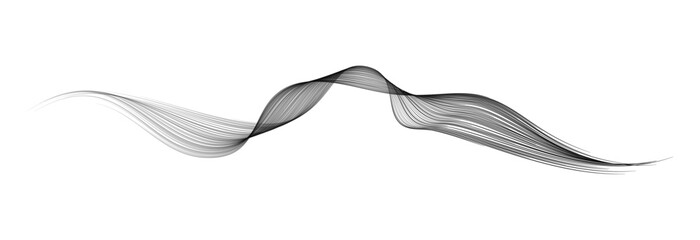 Wall Mural - vector abstract brush stroke wavy lines flowing smooth curve black grey gradient isolated on transpa