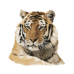 Wall Mural - tiger isolated in White Background, tiger vector, Flat lay vector illustration