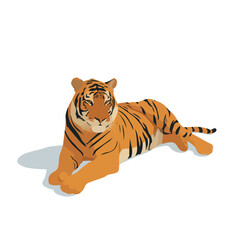 Wall Mural - tiger isolated in White Background, tiger vector, Flat lay vector illustration
