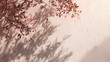© mila103 - Delicate pink leaves frame a light-colored wall, their shadows dancing softly against the surface as sunlight filters through, creating a serene ambiance.