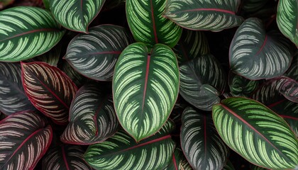 Vibrant leaf pattern close-up