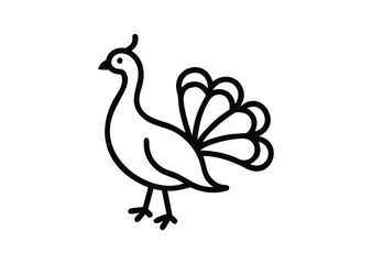 Elegant peacock line art Vector Illustration
