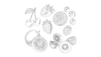 Delicate Fruit Medley Outline Drawing Cherries Strawberries Citrus Berries Line Art Design