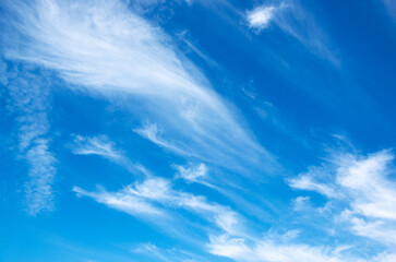 Wall Mural - white clouds in blue sky.