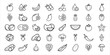 © Jarin - Collection of hand drawn fruit and vegetable icons in a simple line art style