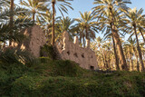 AlUla - Landscape - Oasis summer farms (Saudi Arabia)