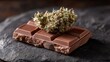 © Ilona - A chocolate bar sits on a dark stone surface, topped with a cannabis bud, highlighting an innovative blend of sweet and earthy flavors