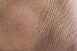 © banjongseal324 - Human skin macro,Close up skin texture with wrinkles on body human.