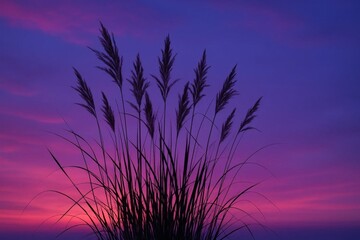 Wall Mural - silhouettes of tall grass against a pinkish-purple sunset sky