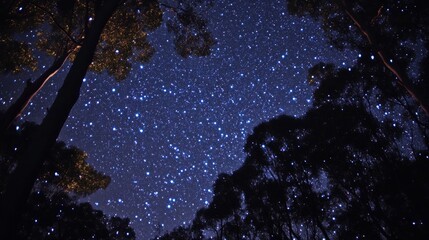 Wall Mural - a breathtaking night sky filled with countless twinkling stars