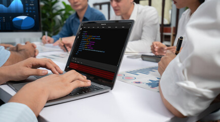 Wall Mural - software development programming on computer screen for brisk application and program coding