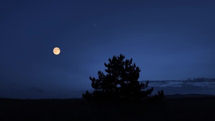 Wall Mural - full moon with stars, planets and tree silhouettes.
