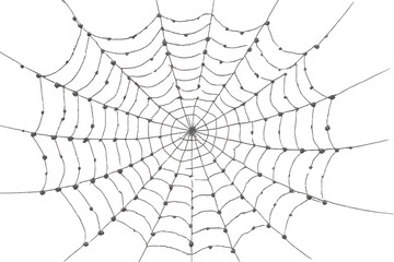 Wall Mural - Intricate spiderweb design on a transparent background, ideal for adding a spooky touch to halloween designs
