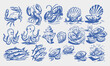 © xue - Hand drawn different mediterranean food set. Oysters, Starfish, octopus, crab, lobster, conch, scallop, fish. Dolce vita table setting coast food drawings for cafe or restaurant menus design. Doodles