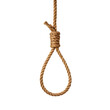 © Ropia - Thick brown rope noose knot isolated on a transparent background image