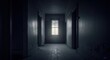 © Dmitry - Dark, dusty, empty corridor inside an old abandoned house with peeling paint and a bright window with a moon at the end.