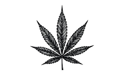 Wall Mural - intricately designed black cannabis leaf illustration on white background. vector retro hand drawn i