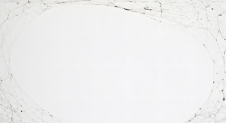 Spiderweb frame on white background
