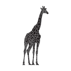 Giraffe Silhouette with Abstract Pattern Wildlife Animal Vector Illustration