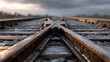 © Marvetta - Railroad tracks diverging into the distance