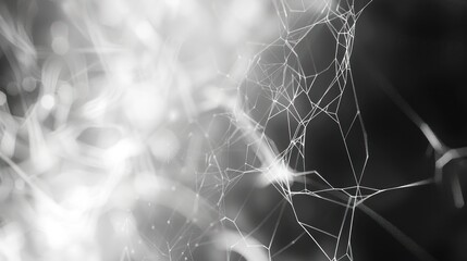 Abstract spiderweb design