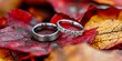© gen_pick - Wedding rings together on vibrant fall leaves